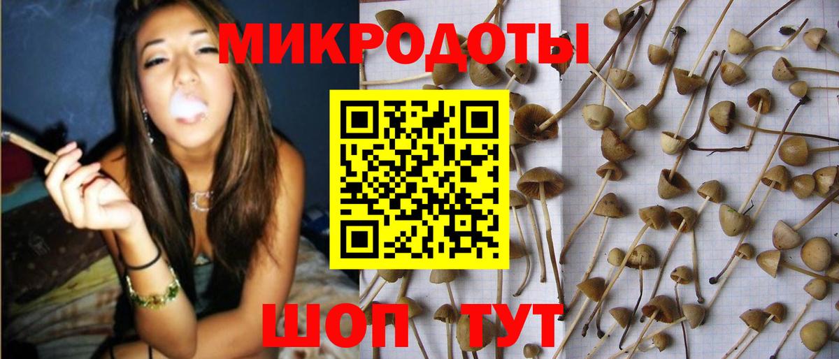 Псилоцибиновые грибы MAGIC MUSHROOMS  Вход с VPN  Кимры 