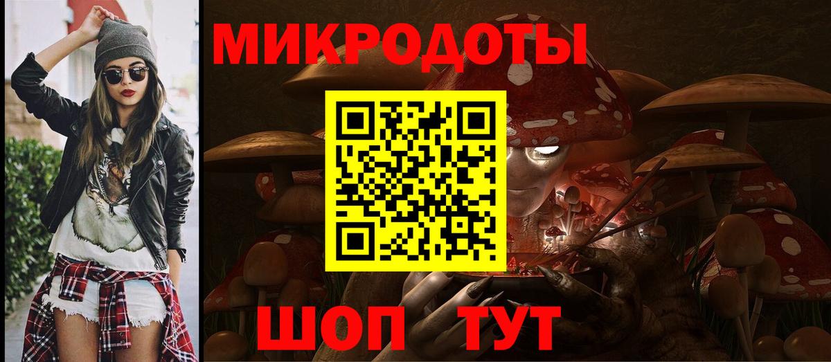 Псилоцибиновые грибы Psilocybe Кимры